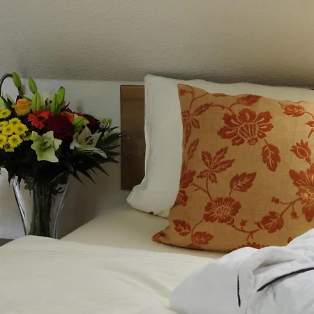 Schlossresidenz Heitzenhofen Hotel 3*