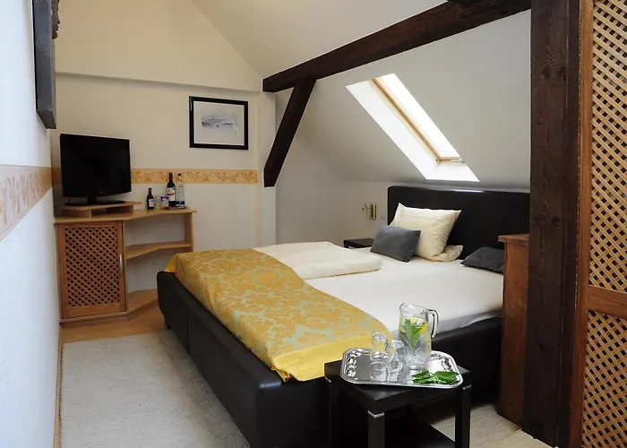فندق Schlossresidenz Heitzenhofen 3*
